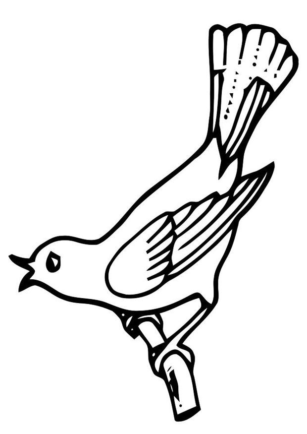 passereau Coloriage passereau