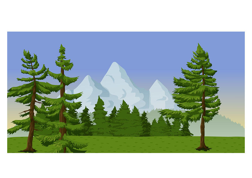 paysage Image paysage