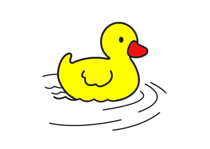 petit canard Image petit canard