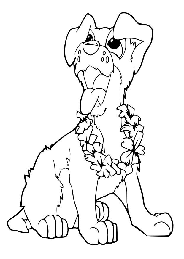 petit chien Coloriage petit chien