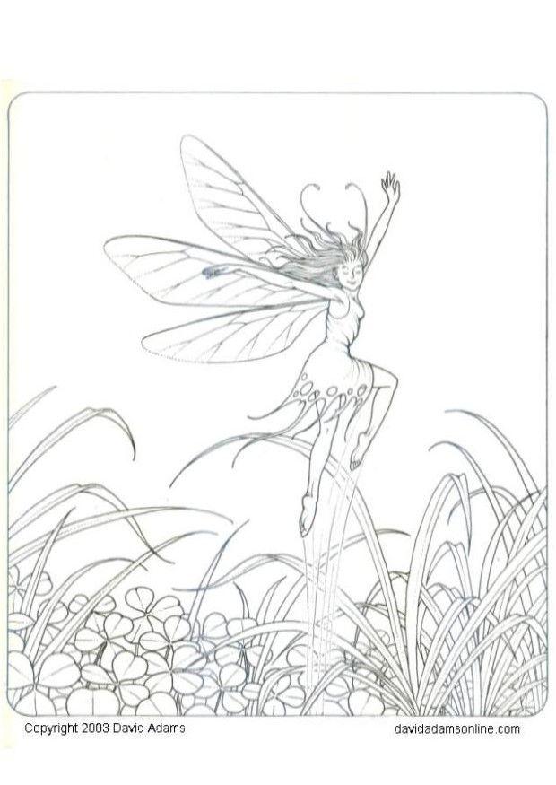 petit elfe Coloriage petit elfe