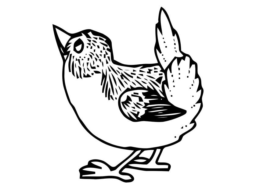 petit oiseau Coloriage petit oiseau