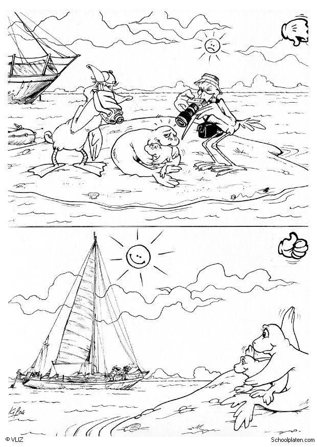 phoque Coloriage phoque
