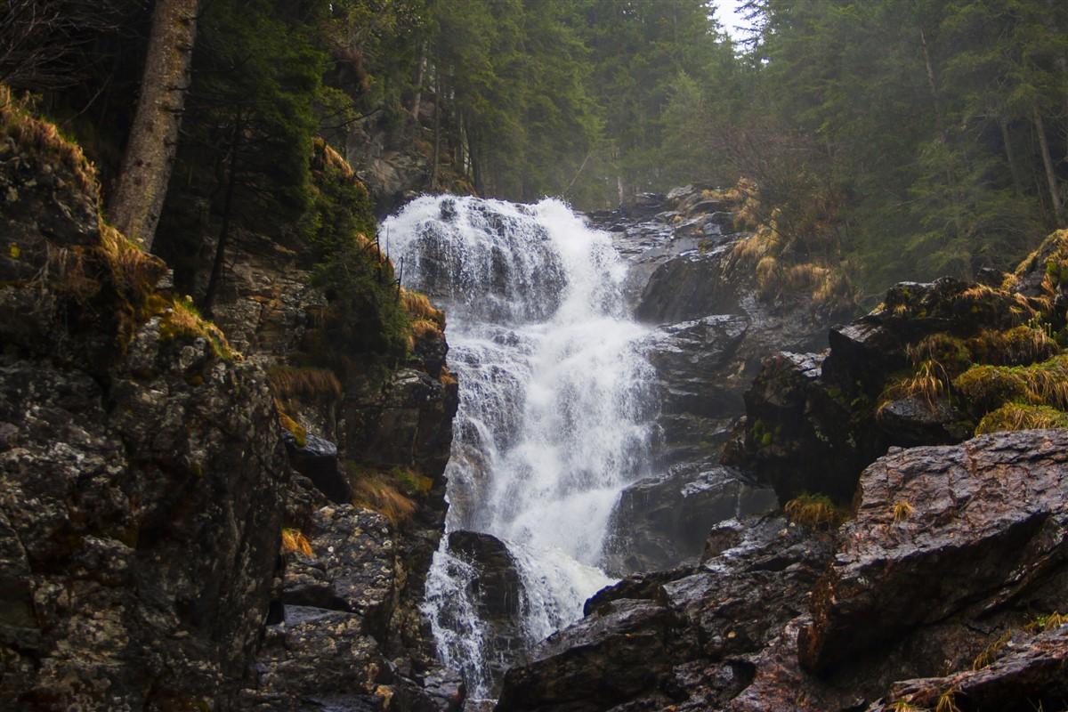 Photo cascade
