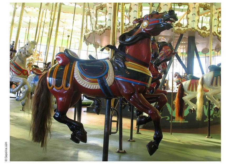 Photo manA¨ge de chevaux