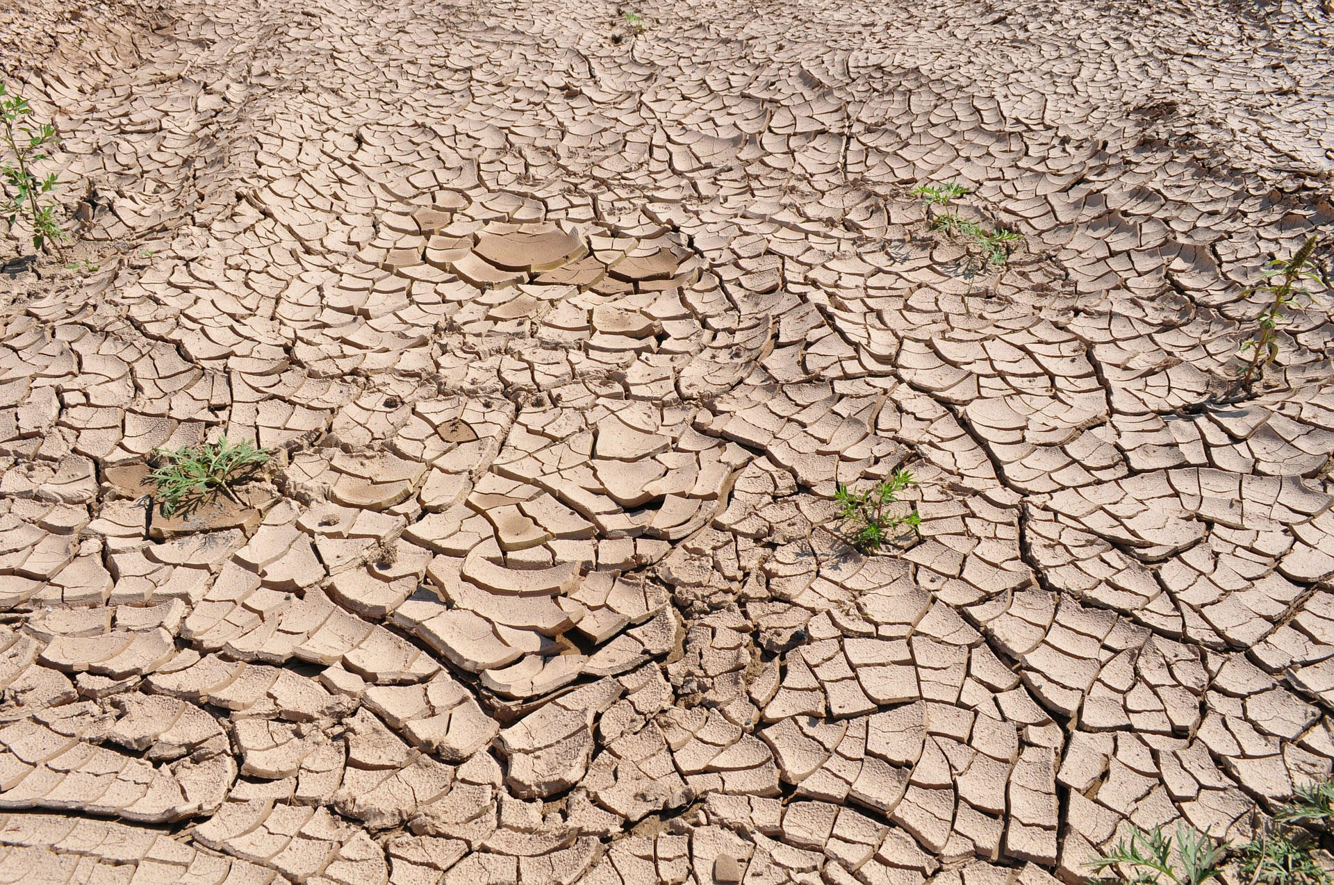 Photo rA©chauffement climatique