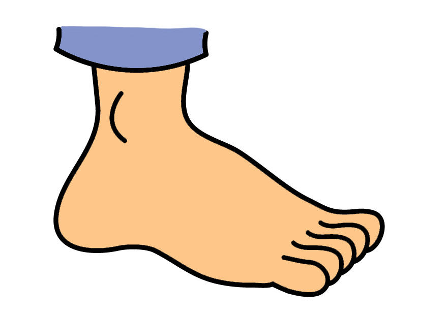 pied Image pied
