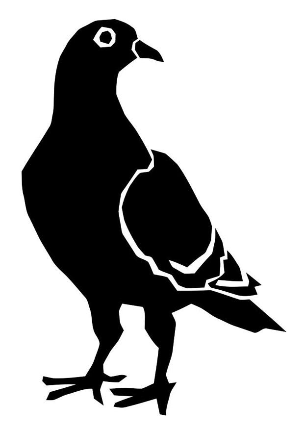 pigeon Coloriage pigeon