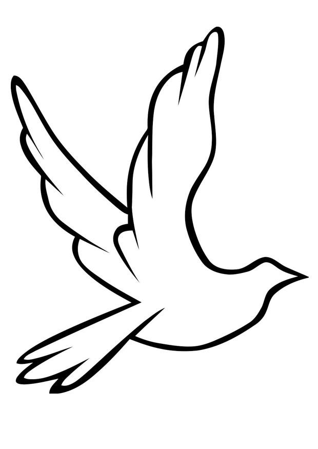 pigeon Coloriage pigeon