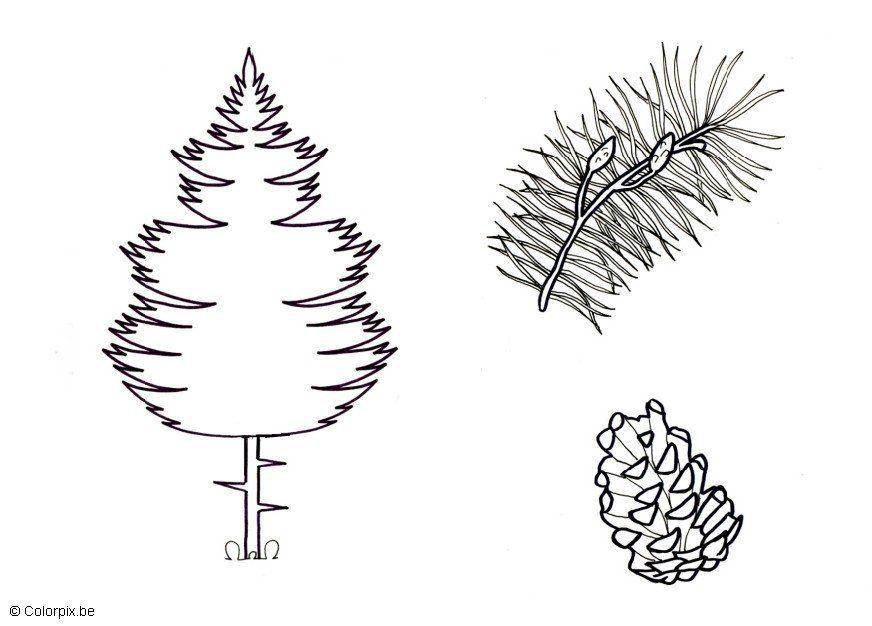 pin Coloriage pin