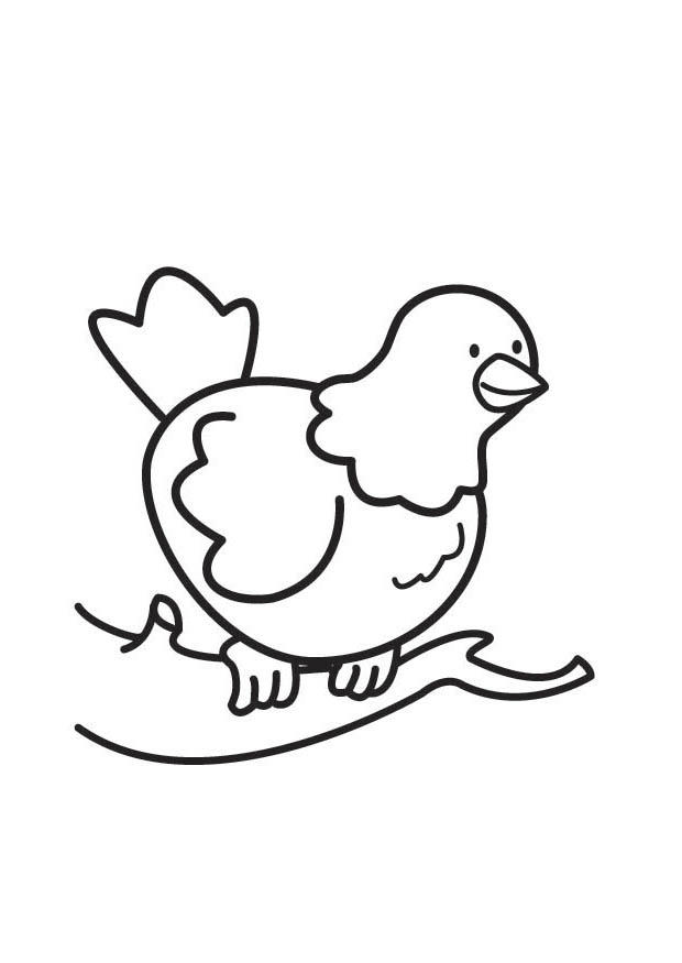 pingeon Coloriage pingeon