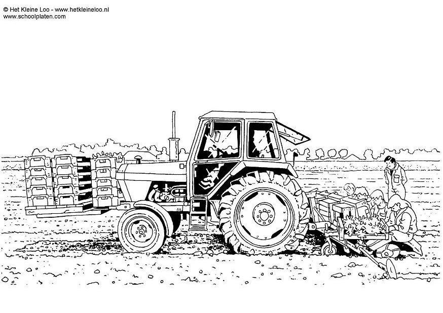 plantation Coloriage plantation