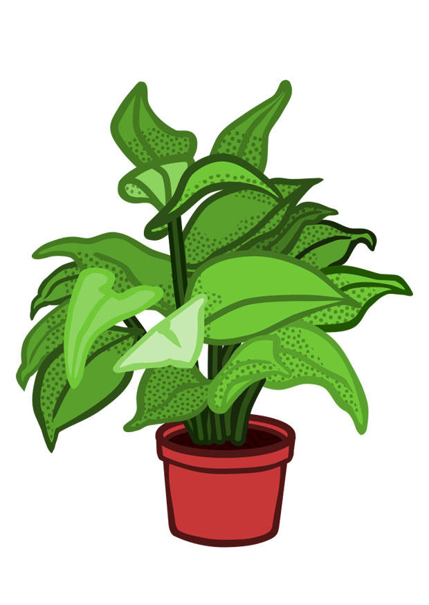plante dintA©rieur Image plante dintA©rieur