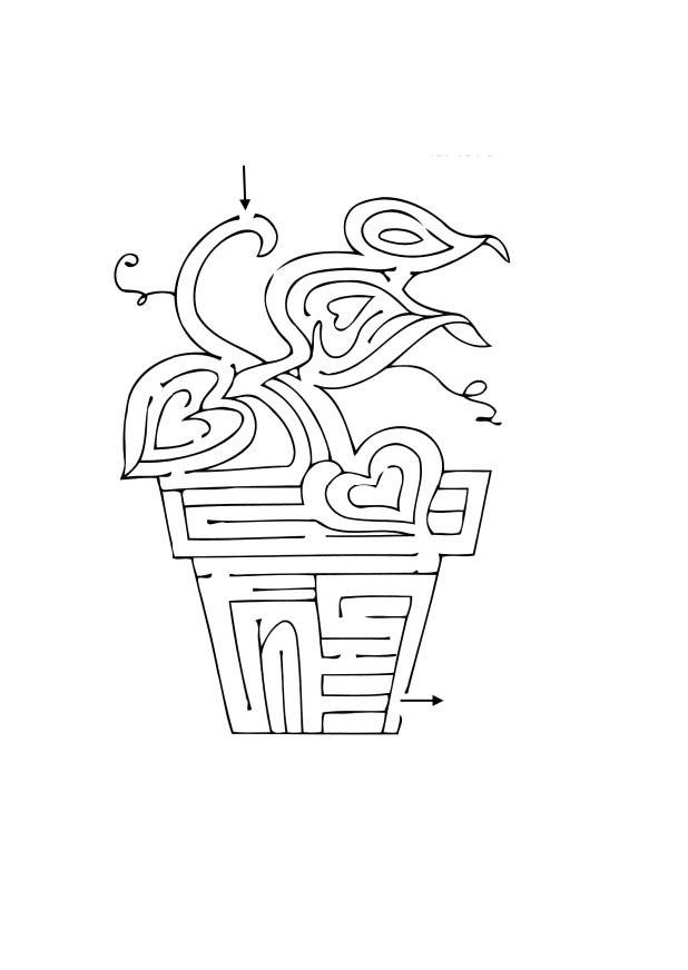 plante labyrinthe Coloriage plante labyrinthe