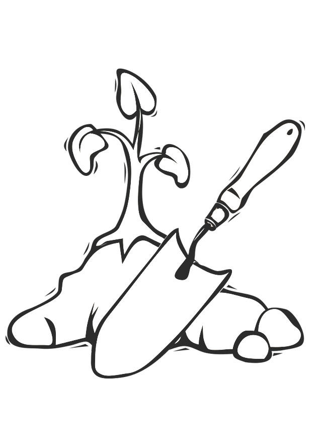 planter un arbre Coloriage planter un arbre