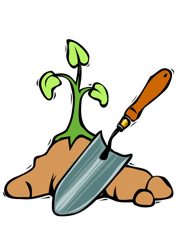 planter un arbre Image planter un arbre