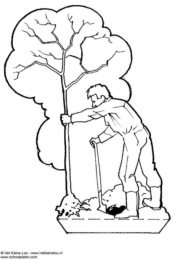planter un arbre Bricolage planter un arbre