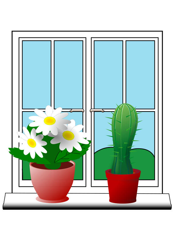 plantes Image plantes