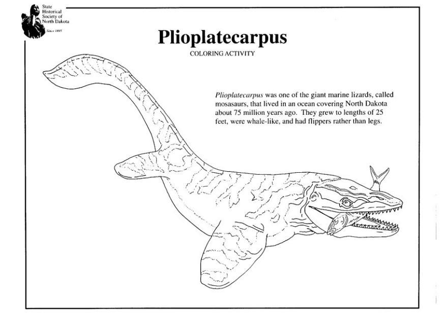 plioplatecarpus Coloriage plioplatecarpus