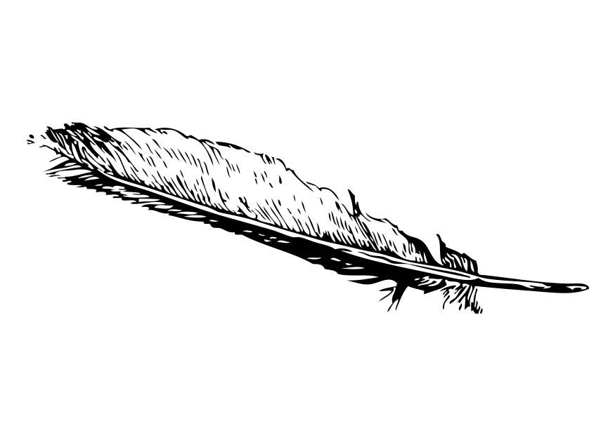 plume Coloriage plume