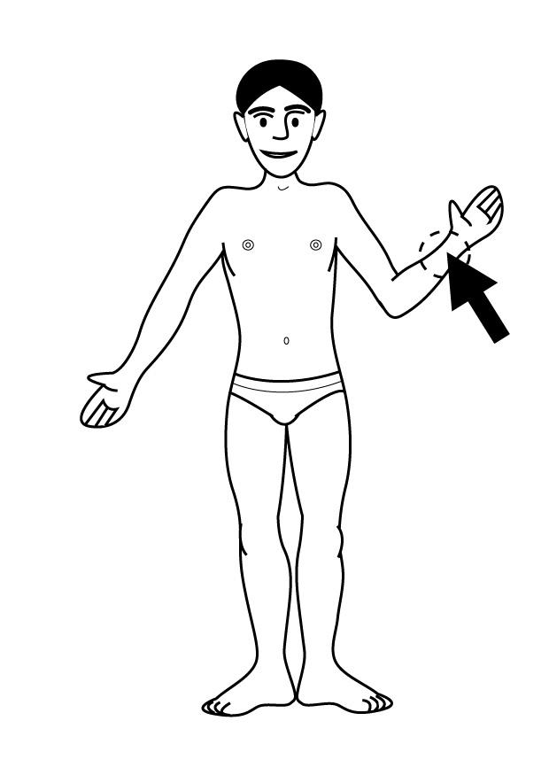 poignet Coloriage poignet