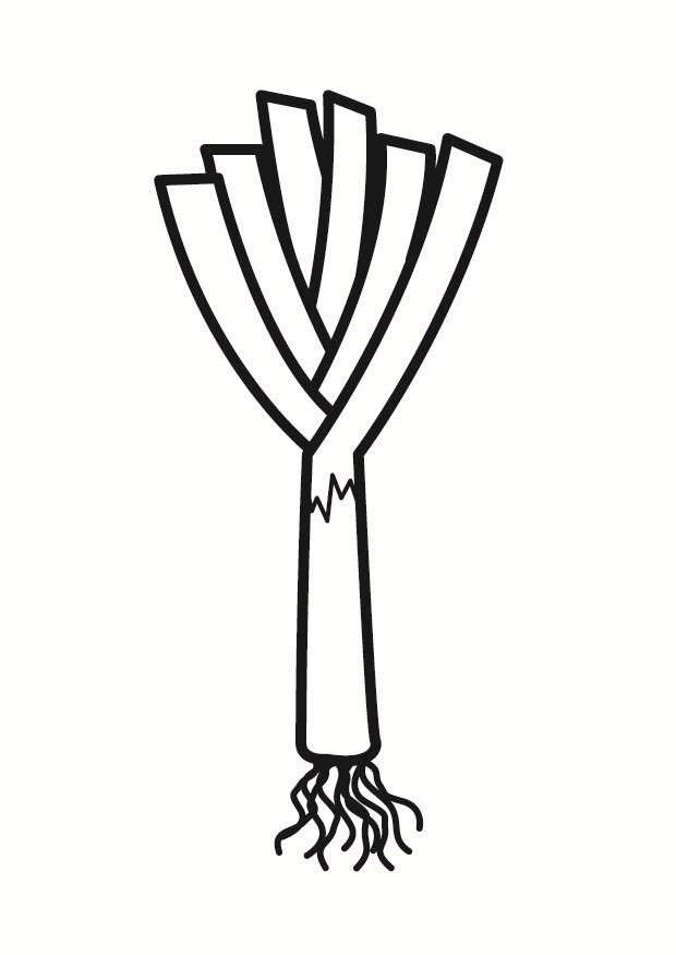 poireau Coloriage poireau
