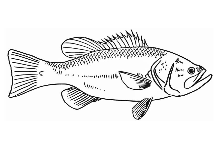 poisson Coloriage poisson