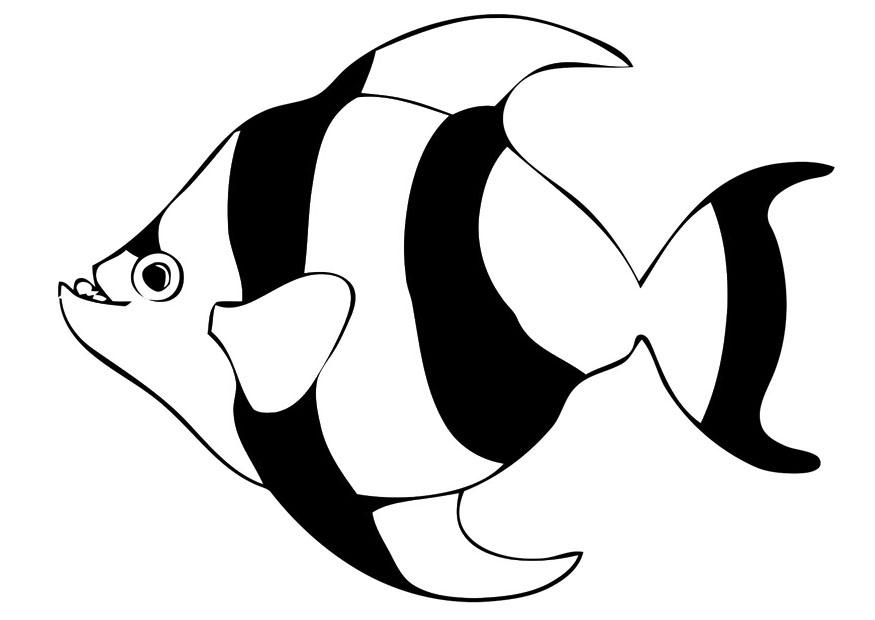 poisson Coloriage poisson