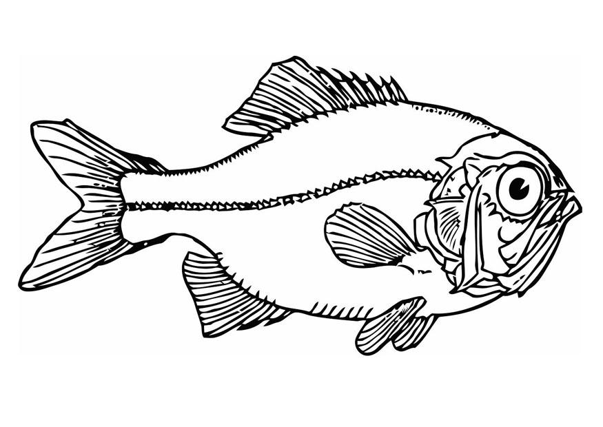 poisson Coloriage poisson