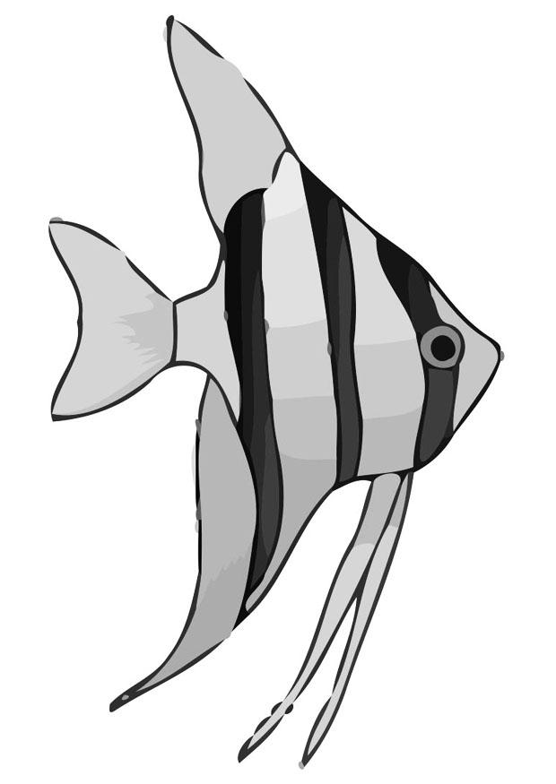 poisson Coloriage poisson