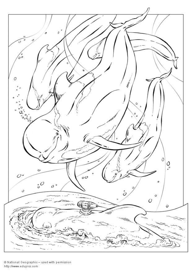 poisson pilote Coloriage poisson pilote
