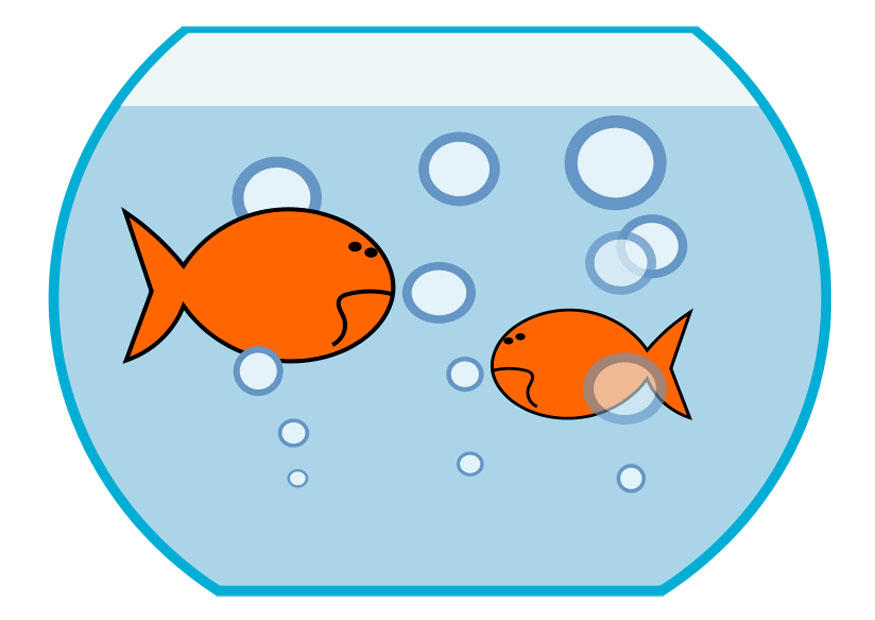 poisson rouge Image poisson rouge