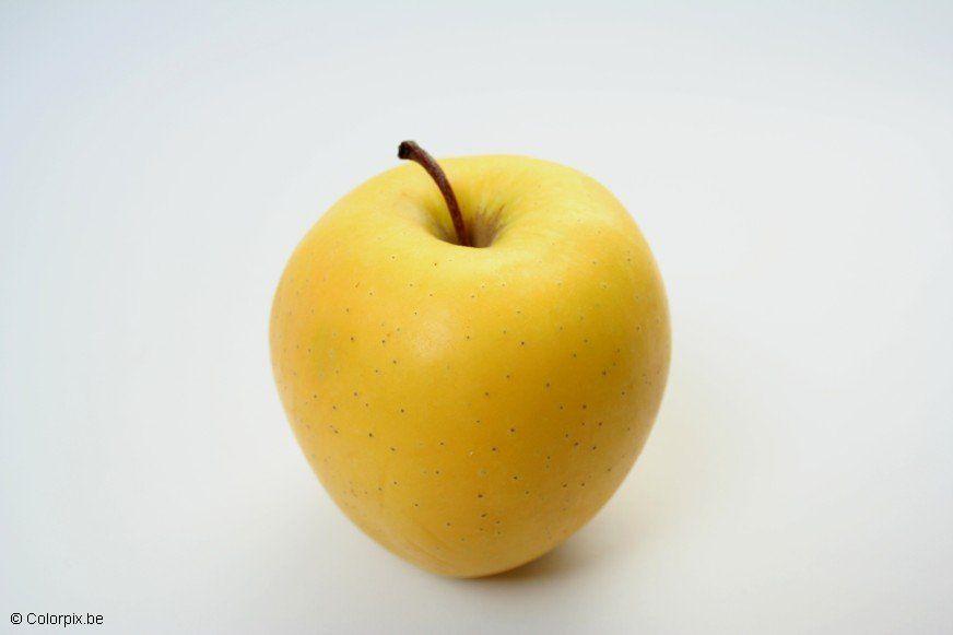 pomme Photo pomme