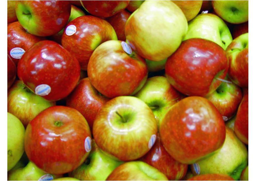 pommes Photo pommes