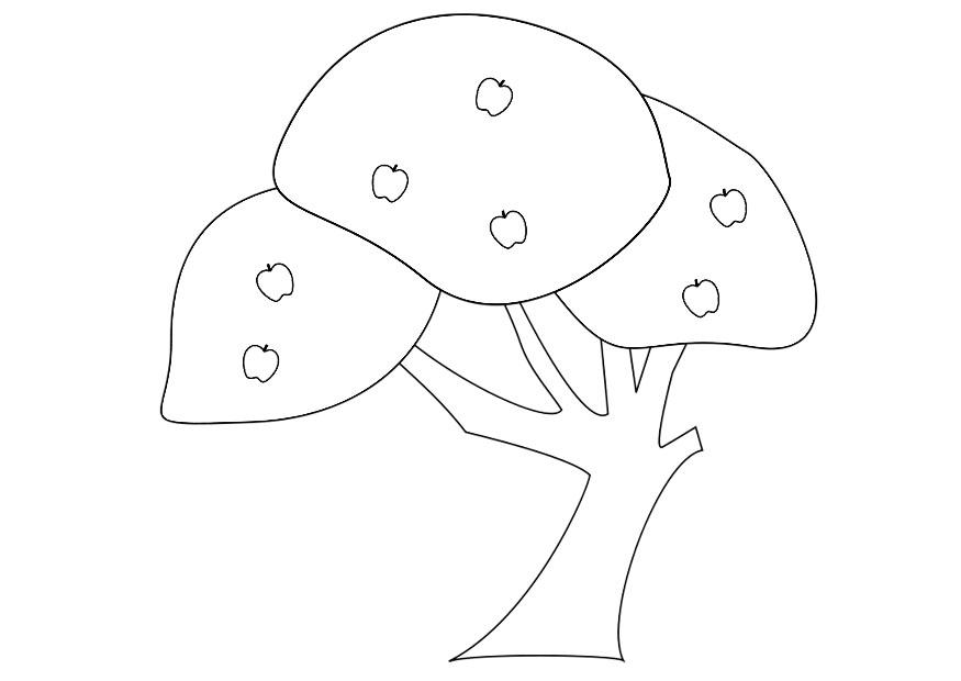 pommier Coloriage pommier