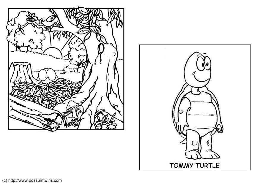 possum twins Coloriage possum twins