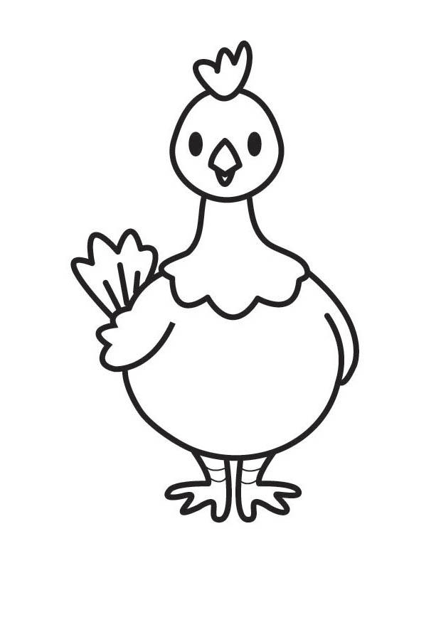 poule Coloriage poule