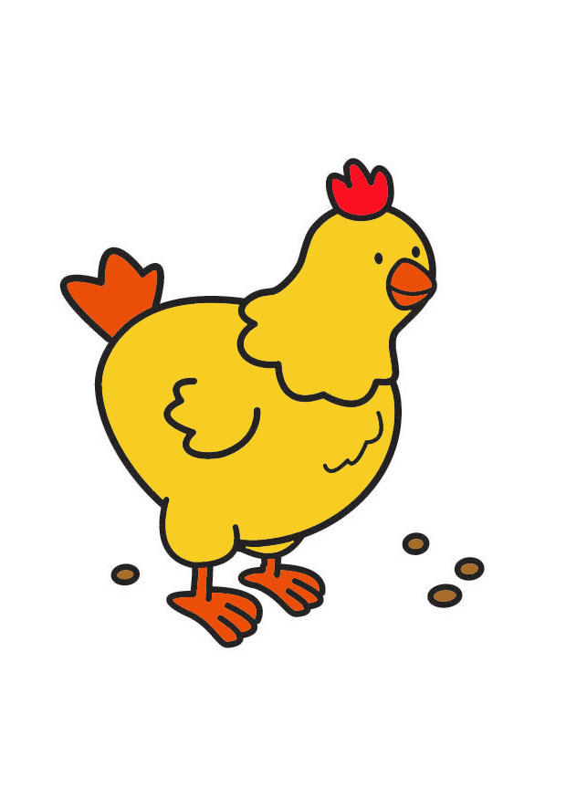 poule Image poule