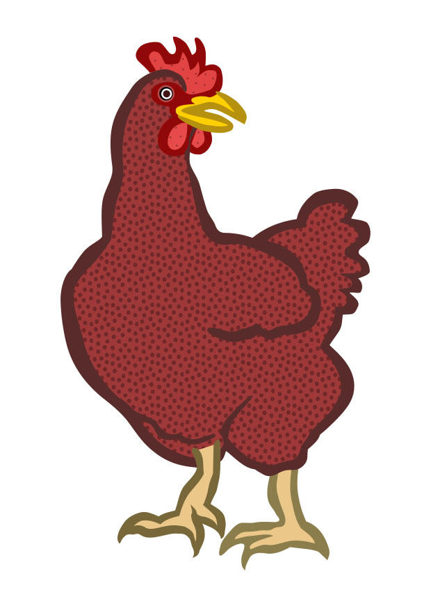 poule Image poule