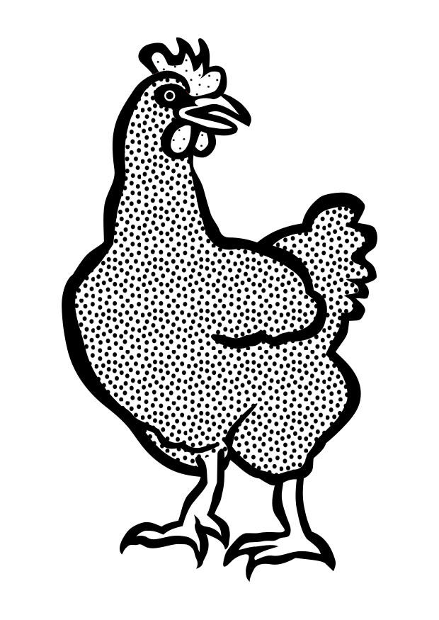 poule Coloriage poule
