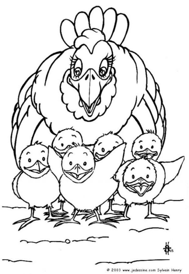 poule et poussins Coloriage poule et poussins