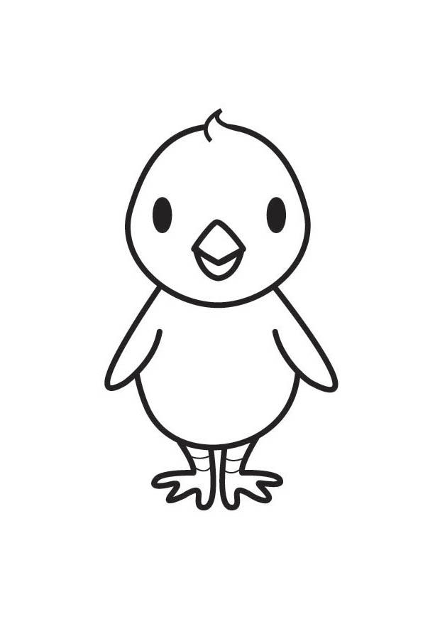 poussin Coloriage poussin