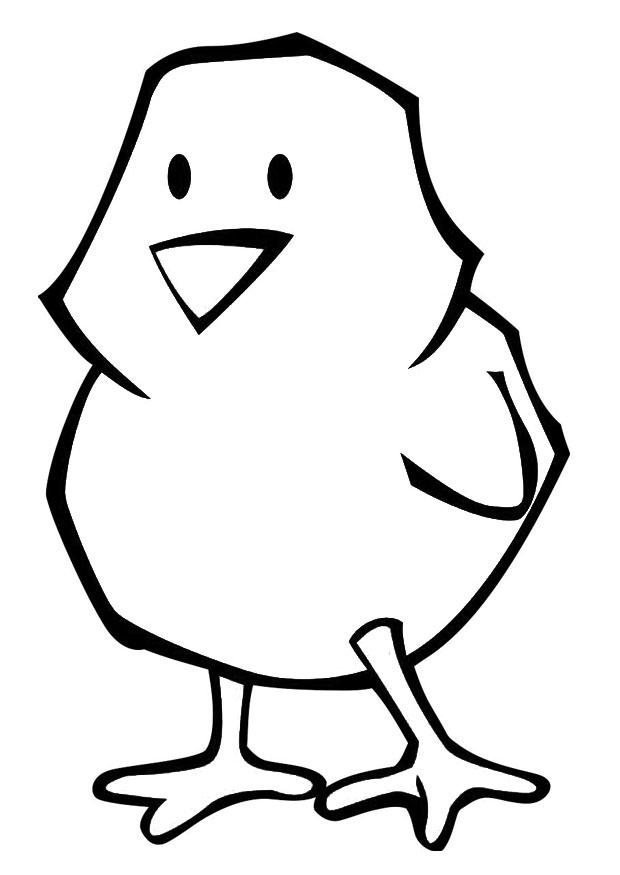 poussin Coloriage poussin