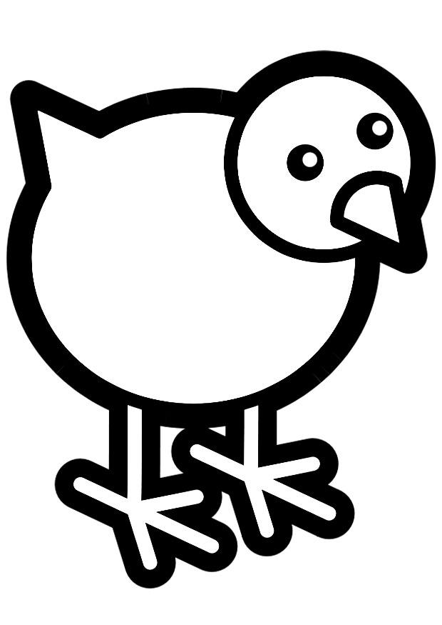 poussin Coloriage poussin