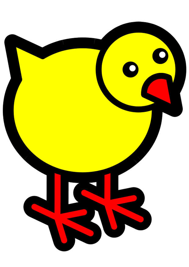 poussin Image poussin