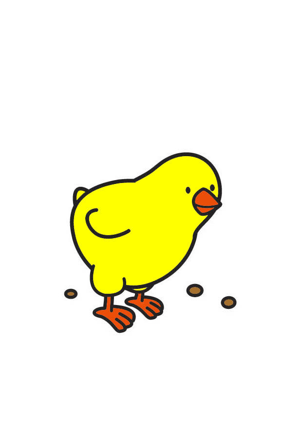 poussin Image poussin