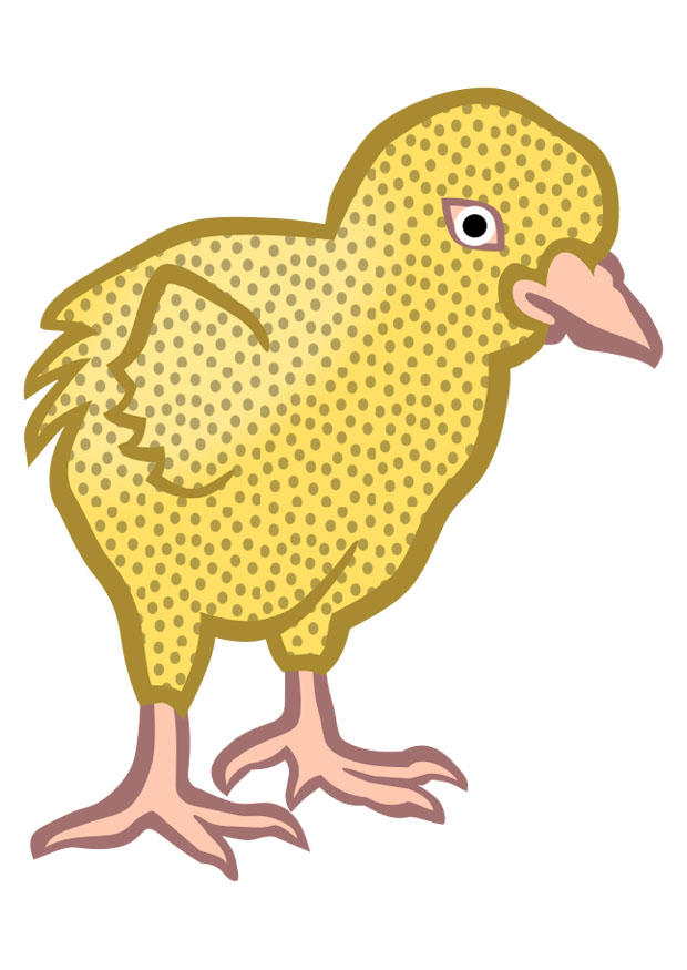 poussin Image poussin
