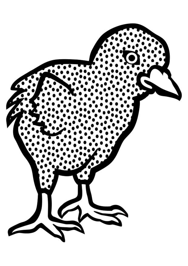 poussin Coloriage poussin
