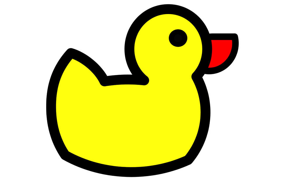 poussin pour le bain Image poussin pour le bain