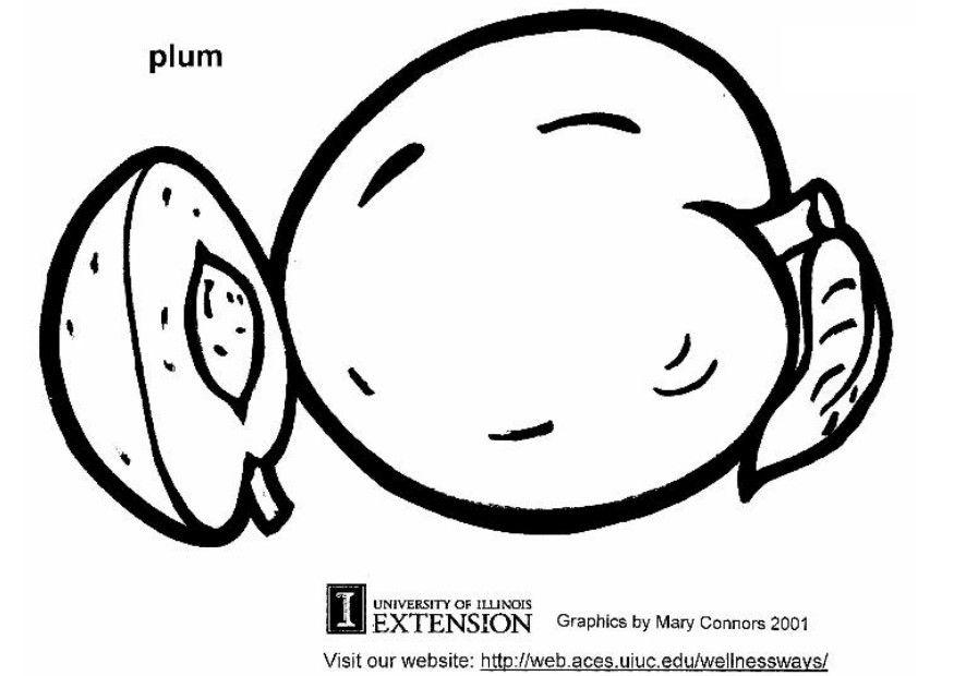prune Coloriage prune